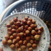 فروش فندق  کلی جزیی