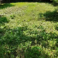 زمین ۸۴۰ متری در جاده ماسوله|فروش زمین و ملک کلنگی|ماکلوان, |دیوار