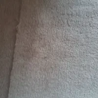 موکت