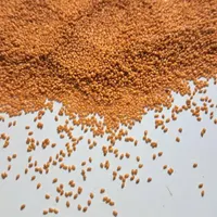 خاکشیر عالی|خوردنی و آشامیدنی|مرودشت, مجد آباد|دیوار