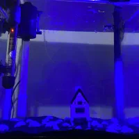 آکواریوم دلسا همراه وسایل زیر قیمت