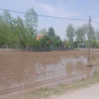 ۱۱۰۰۰هزارمترشالیزارومسکونی جای بکرسنگررشت|فروش زمین و ملک کلنگی|سنگر, |دیوار