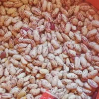 خوردنی ها