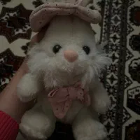 عروسک|اسباب‌بازی بچه|گنبد کاووس, |دیوار