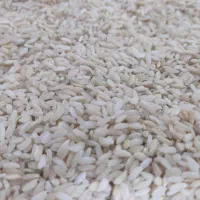 برنج چمپا|خوردنی و آشامیدنی|چیتاب, |دیوار