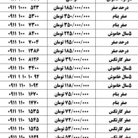 ۰۹۱۱-۵۰۰۰۰-۸۲