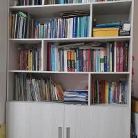 کتابخانه سالم و تمییز|کتابخانه، شلف، قفسه‌های دیواری|تهران, باغ فیض|دیوار
