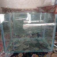 اکواریوم ماهی