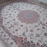 دو عدد12متری فرش یکی دستبافت یکی ماشینی برجسته|فرش|اردبیل, |دیوار