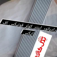 لوازم یدکی فیدلیتی دیگنیتی لاماری فونیکس چینی|قطعات یدکی و لوازم جانبی|شیراز, ریشمک|دیوار