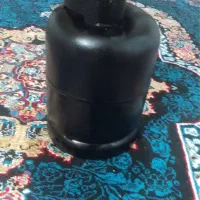 پیک نیک بزرگ