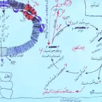 تدریس و مشاوره کنکور به صورت تضمینی