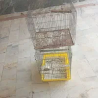 فروش قفس پرنده