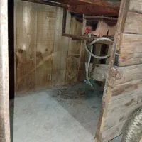 منقل چرخ دار فروش فوری|اجاق گاز و لوازم برقی پختوپز|ارومیه, |دیوار