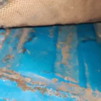 نیسان مدل ۸۱ دوگانه سوز|خودرو سواری و وانت|مرودشت, فیروزی|دیوار