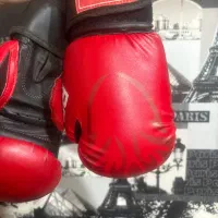 دستکش بوکس نو