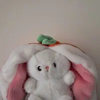 فیل و خرگوش نوو|اسباببازی بچه|کرج, حاجی آباد|دیوار