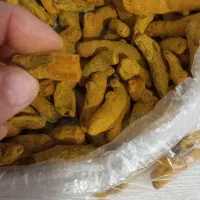 سود بیشتر با زردچوبه باکیفیت ما