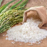 برنج طارم هاشمی درجه یک سورت شده