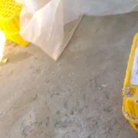 سبد مرغ|لوازم جانبی حیوانات|میاندوآب, |دیوار