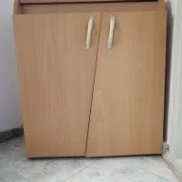 جاکفشی سالم