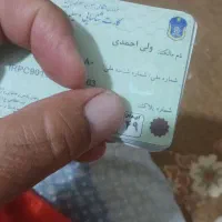 پیداشده