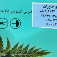 اصولی دیابتت رو درمان کن|فعالیت داوطلبانه|قزوین, |دیوار