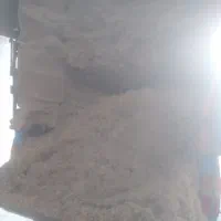 کاه طوفالی نیشکرامیدیه|لوازم جانبی حیوانات|امیدیه, |دیوار