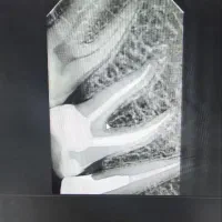 دستیار و منشی دندانپزشک