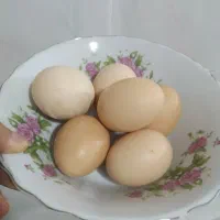 تخم مرغ  آمروک