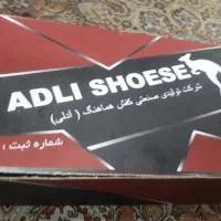 کفش آدلی  گم کردم نو