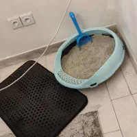 واگذاری گربه با وسایل