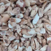 ضایعات مغز و تفاله بادام زمینی تمیز