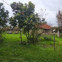 خونه سنتی تالش اسالم قابل سکونت چهارفصل حیاط سرسبز|فروش زمین و ملک کلنگی|اسالم, |دیوار