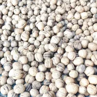 گردو خشک درجه یک اعلا