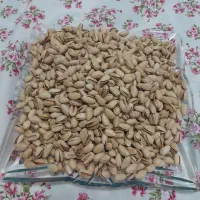 پسته اکبری فروشی