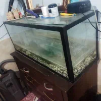 اکواریوم یک متری