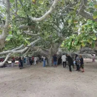 تور چابهار گردی و کنارک گردی