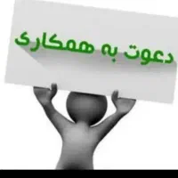 نیروی خانم جهت پاک کردن پسته