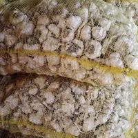 سیر فروشی درجه یک در تور    برای بذری|عمده‌فروشی|شادیان, |دیوار