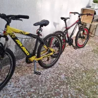 دوعدوچرخه دنده ای