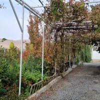 ویلا استخردار آبگرم|اجارهٔ کوتاه‌مدت ویلا و باغ|کرمانشاه, |دیوار