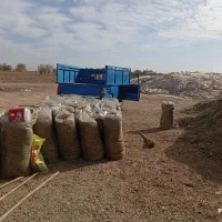 ذرت دامی  تحویل