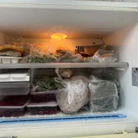 یخچال و فریزر ال جی کره ایی اصل در حال کار|یخچال و فریزر|اهواز, شهرک نفت|دیوار