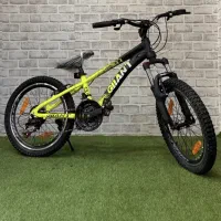 جاینت ازواردکننده(اقساطی ده ماهه بدون پیش پرداخت