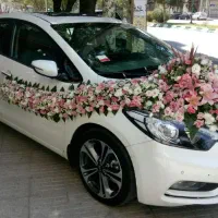 ماشین عروس تزیین ماشین عروس ( قیمت مناسب)