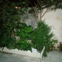 بنا هستم.