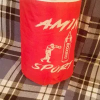 کیسه بوکس