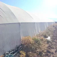 فروش گلخانه 500 متری گالوانیزه|مصالح و تجهیزات ساختمان|نصر آباد, |دیوار