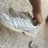 zx8000 کتونی|کیف، کفش، کمربند|رباط‌کریم, رباط‌کریم|دیوار